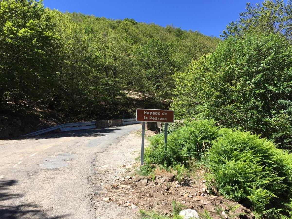 "Ecologico Con Piscina Climatizada" En La Pinilla Lejlighed Riaza Eksteriør billede