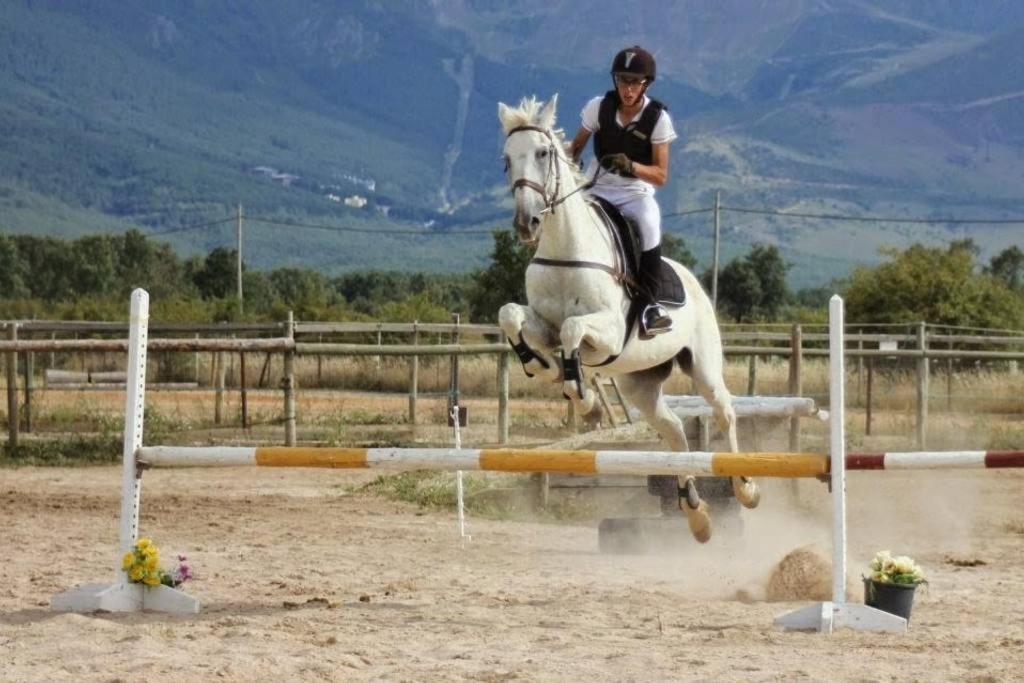 "Ecologico Con Piscina Climatizada" En La Pinilla Lejlighed Riaza Eksteriør billede
